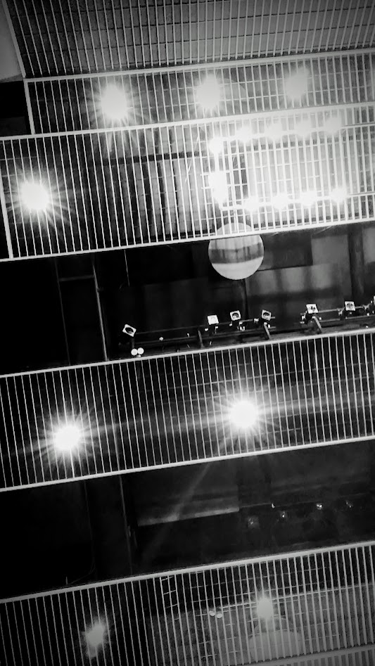Theater Ceiling in black and white